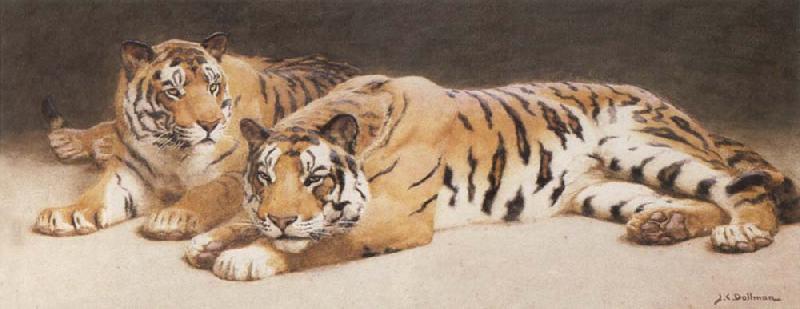 John Charles Dollman Two Wild Tigers